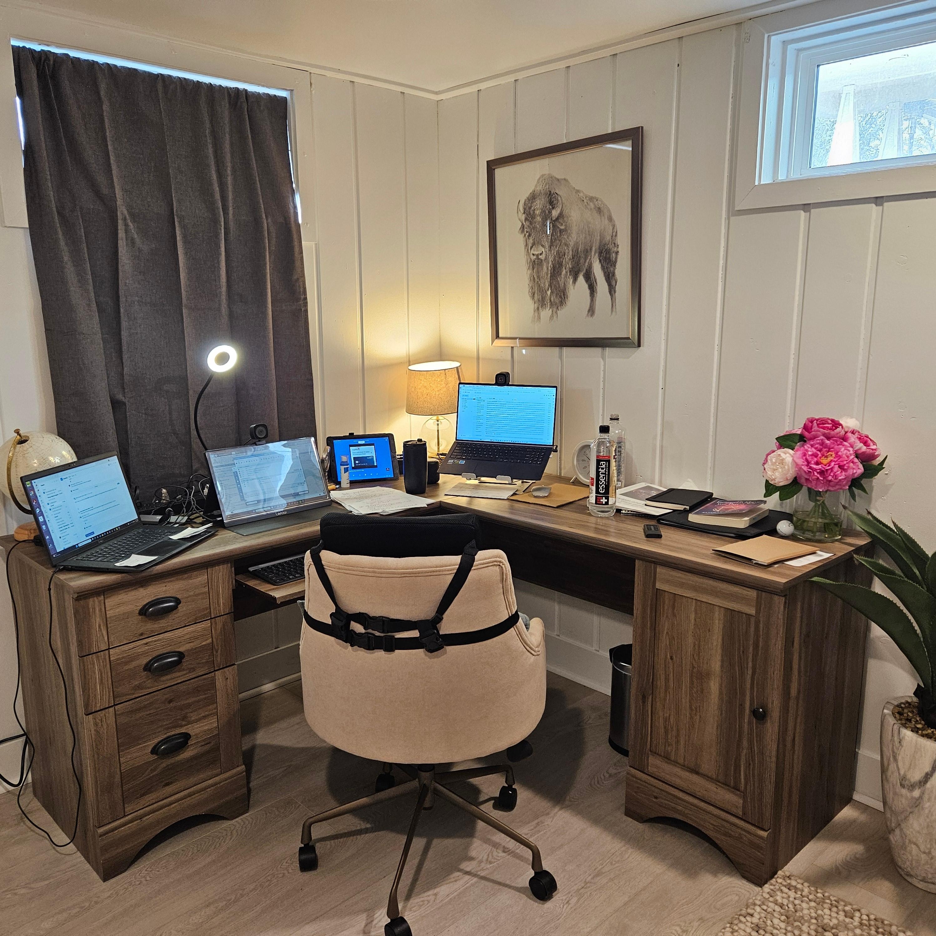 Telehealth office