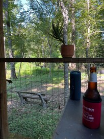 Looking out to where we saw the deer the next morning.