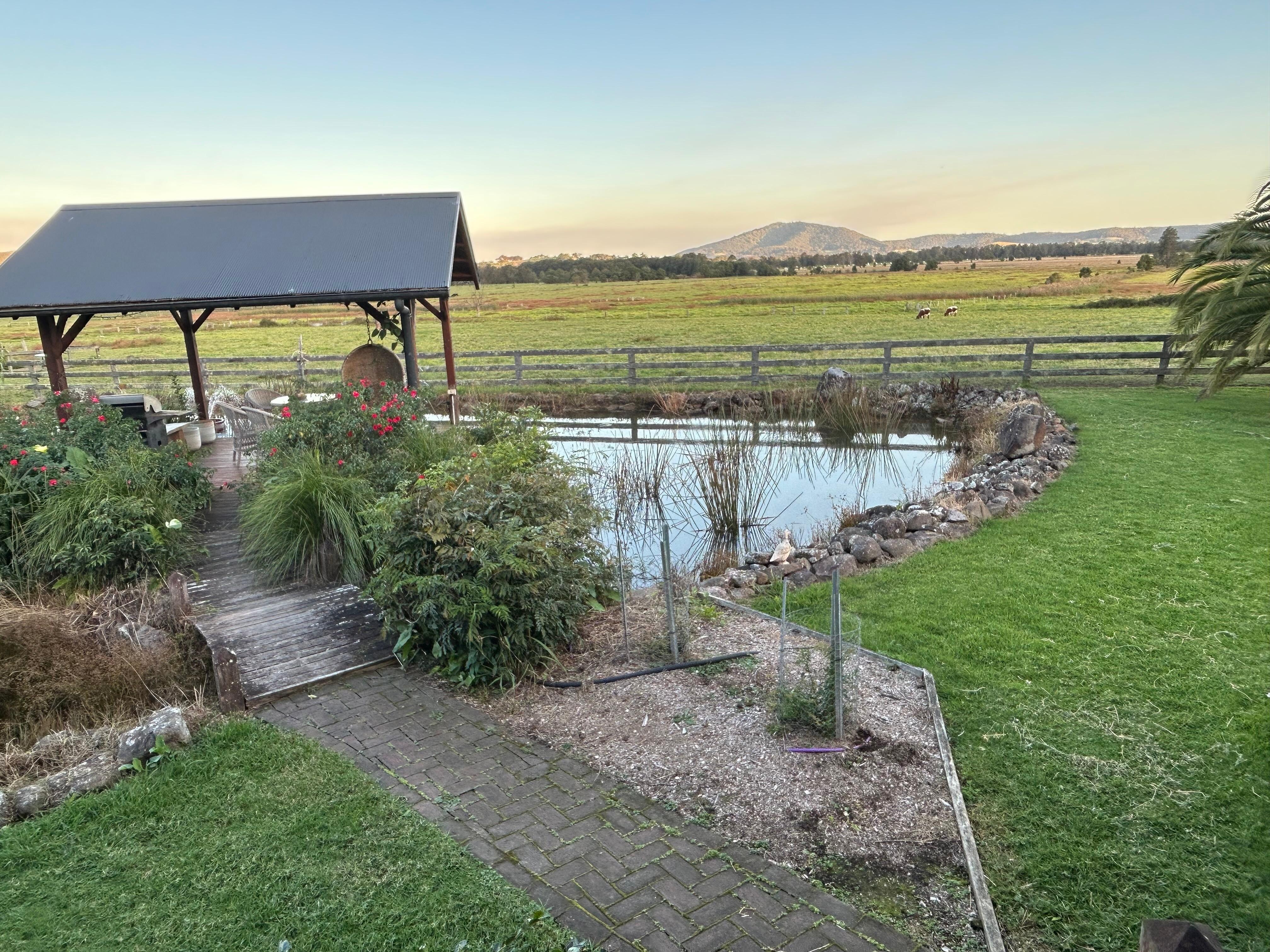 View from the veranda 