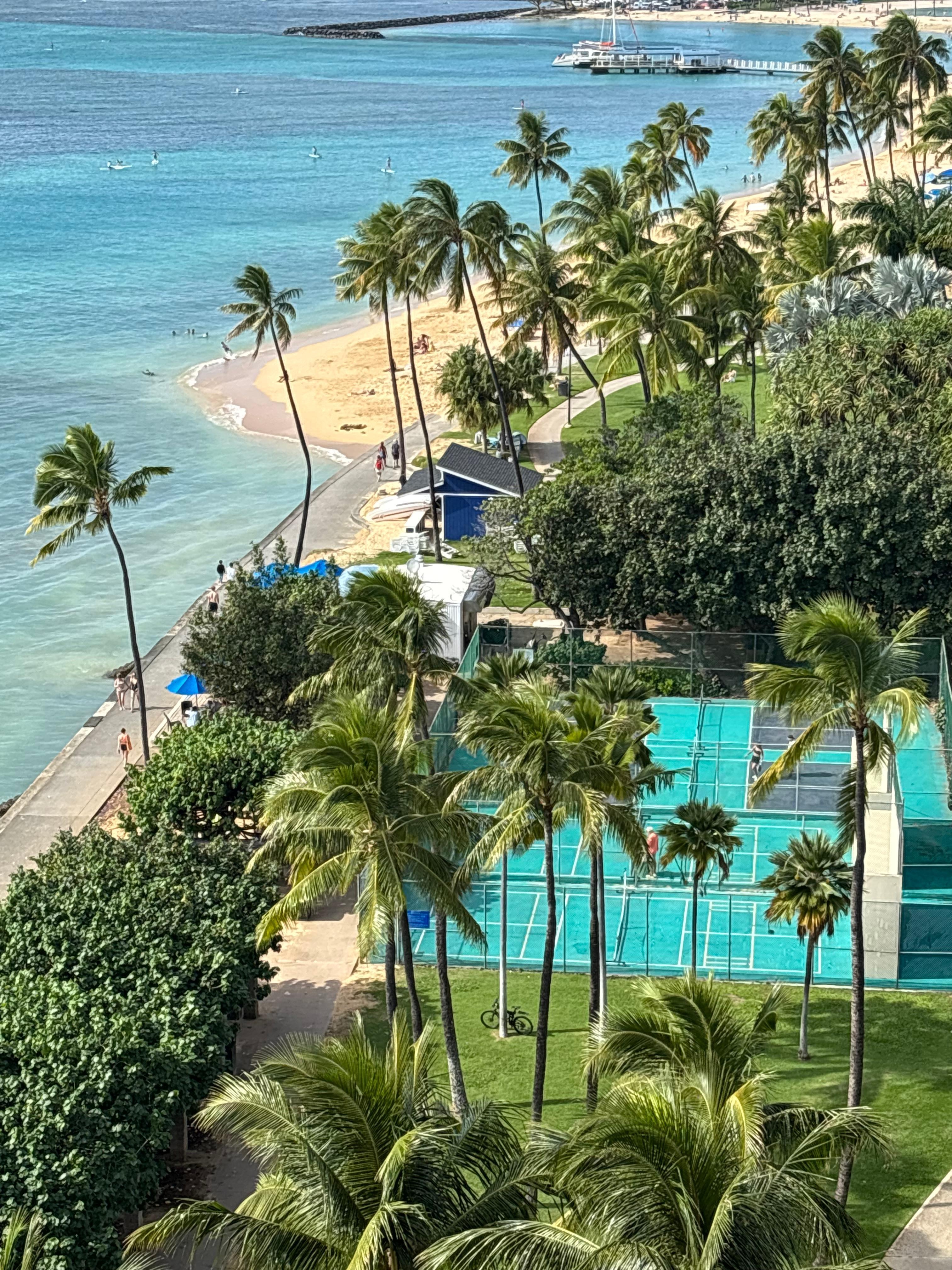 Bring your pickleball paddles 