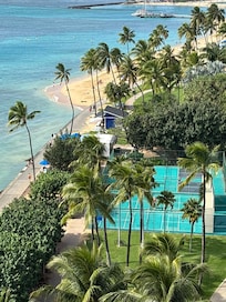 Bring your pickleball paddles