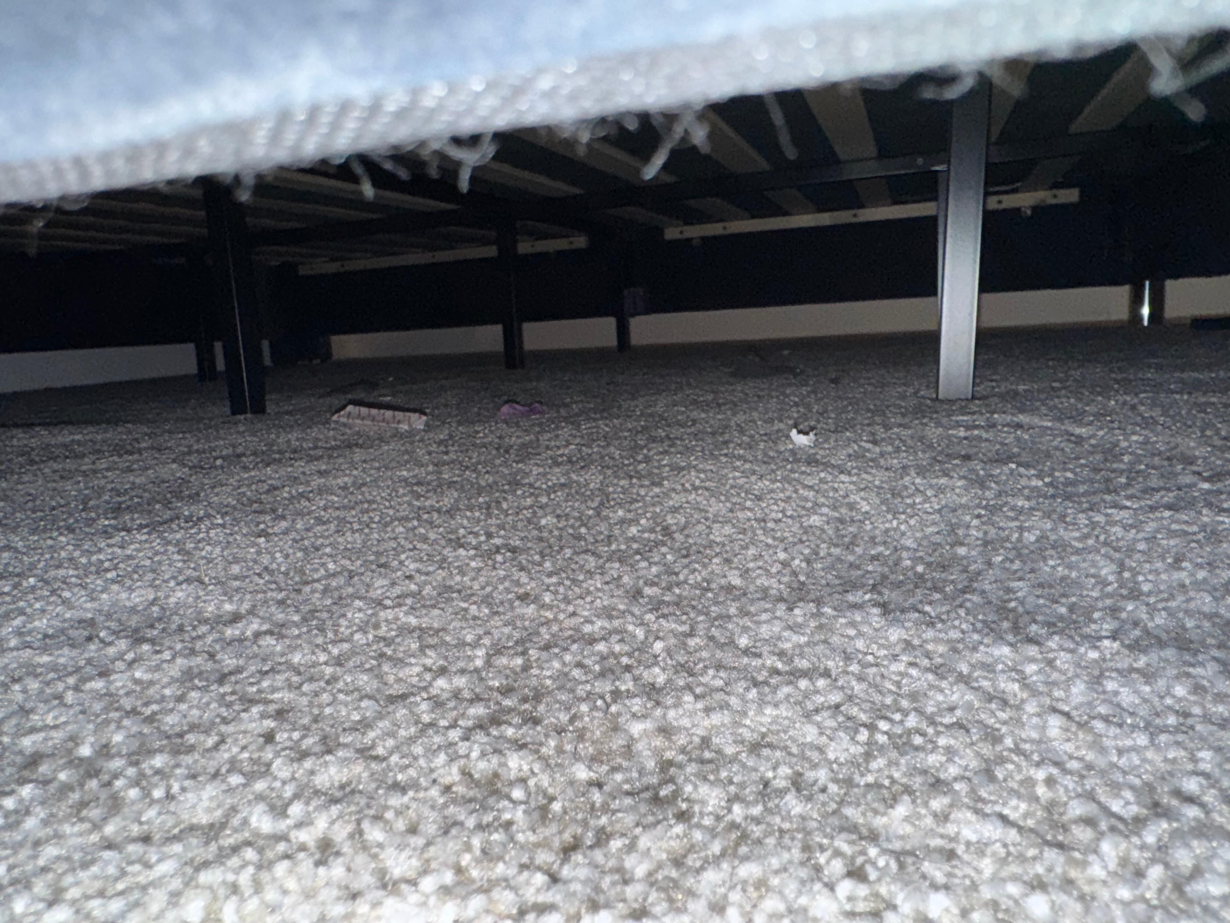 Under the bed