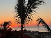 From the patio