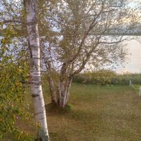 Lake View from our Suite