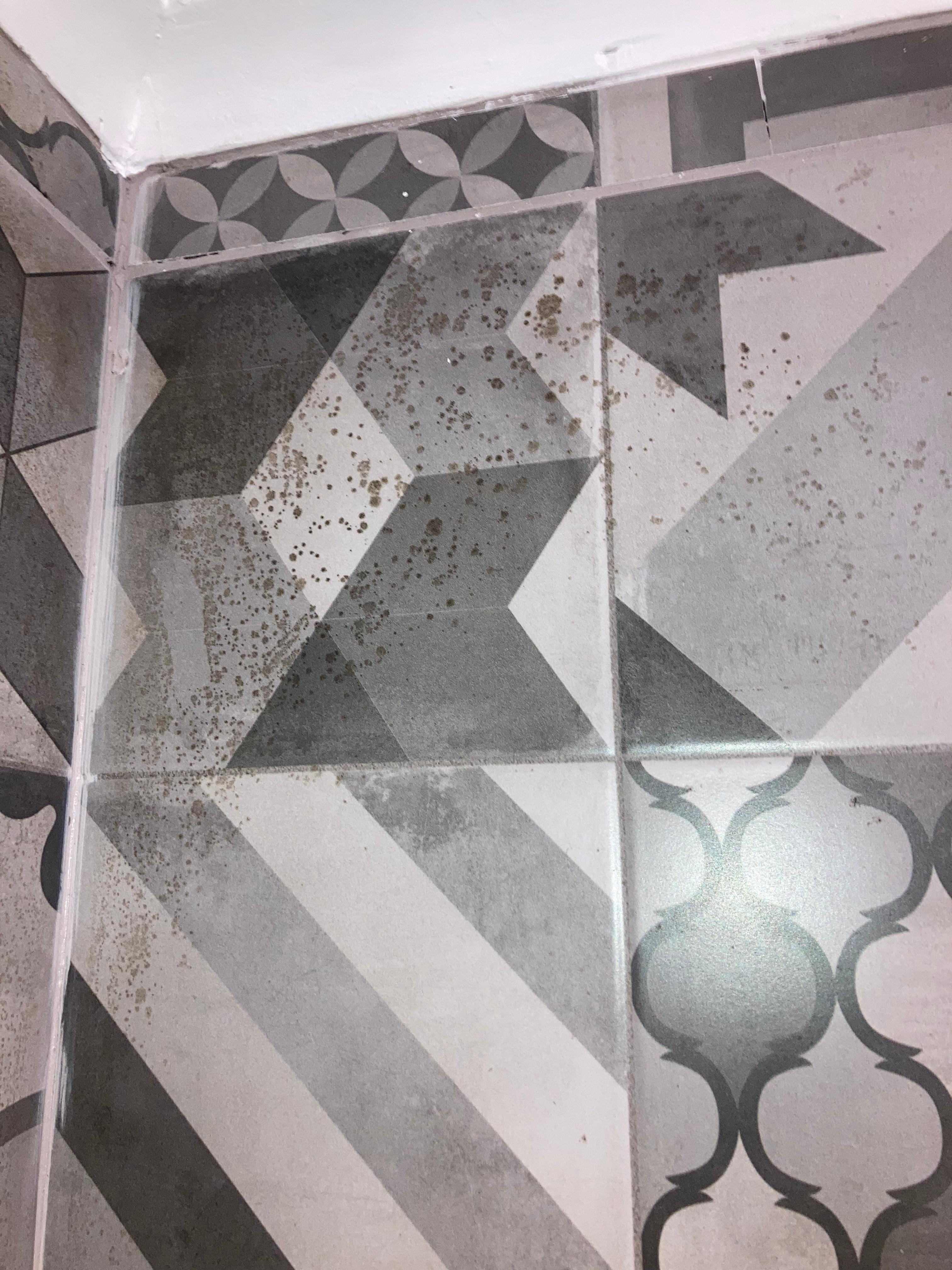 Black mold in shower