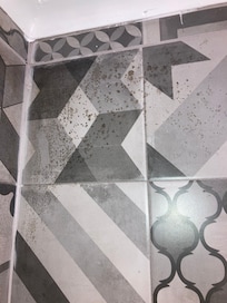 Black mold in shower