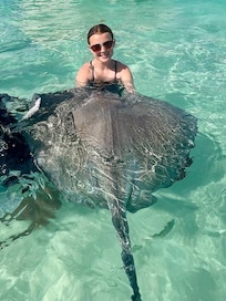 stingray city (excursion)