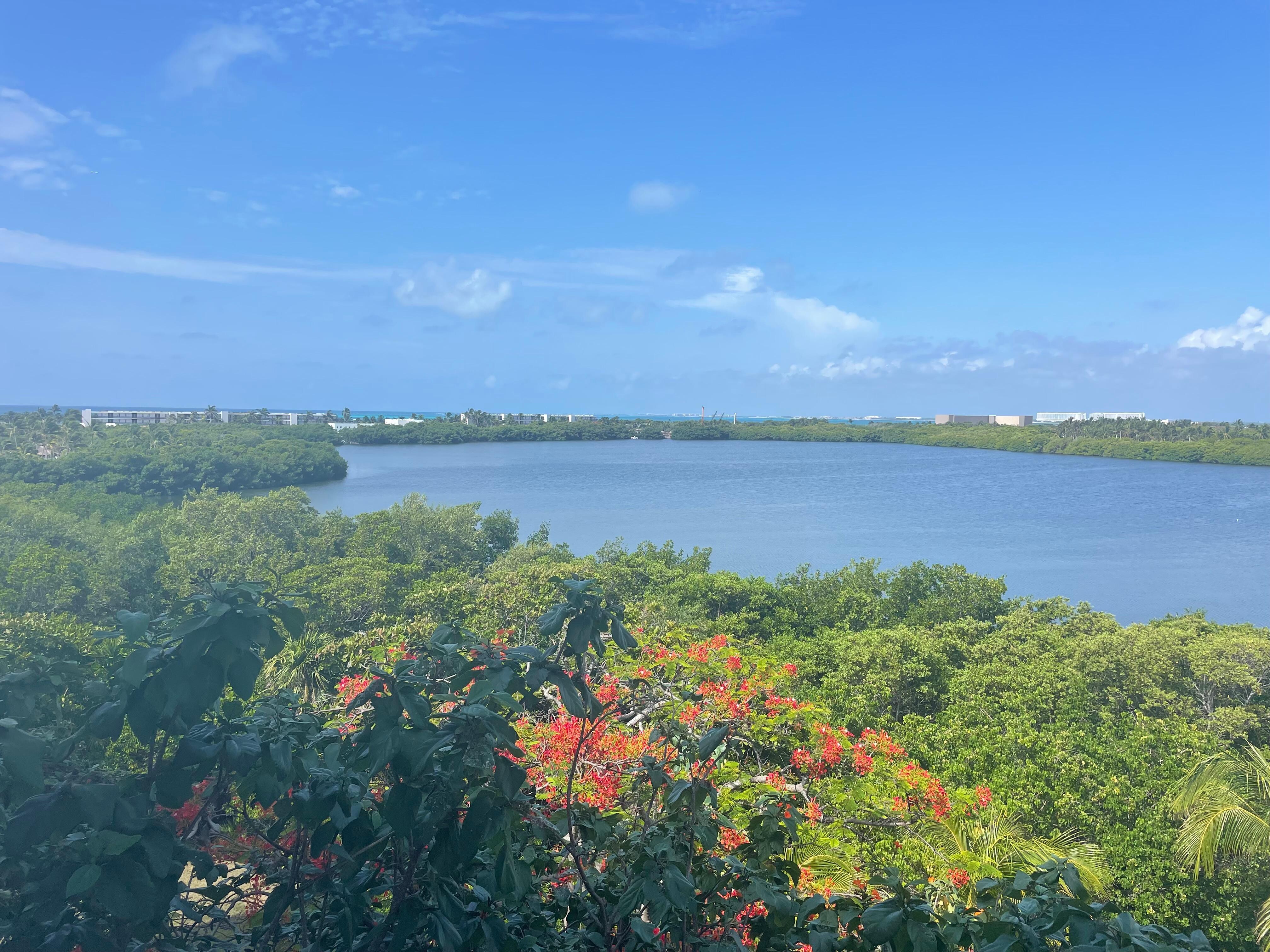 View of lagoon side from property