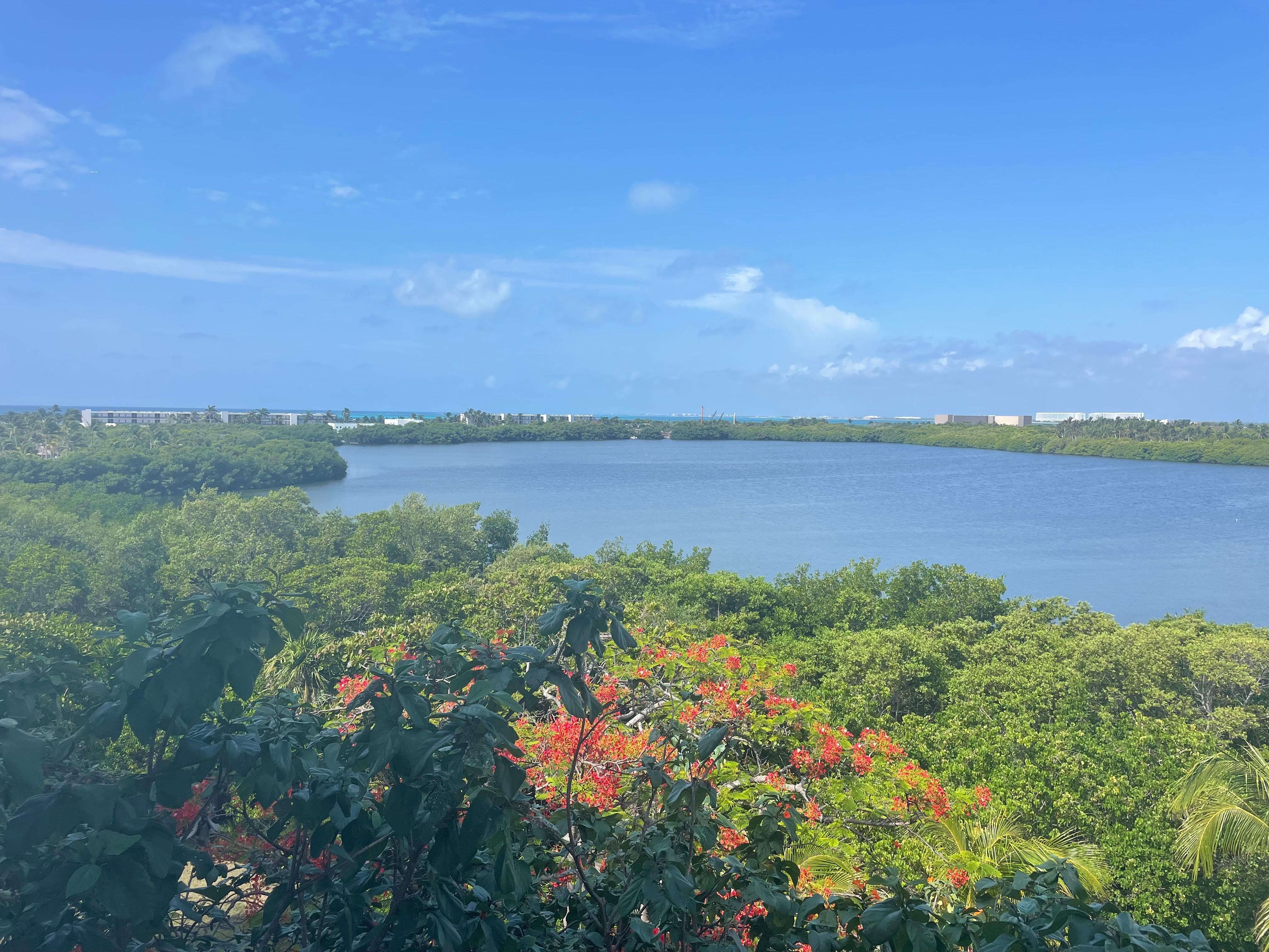 View of lagoon side from property