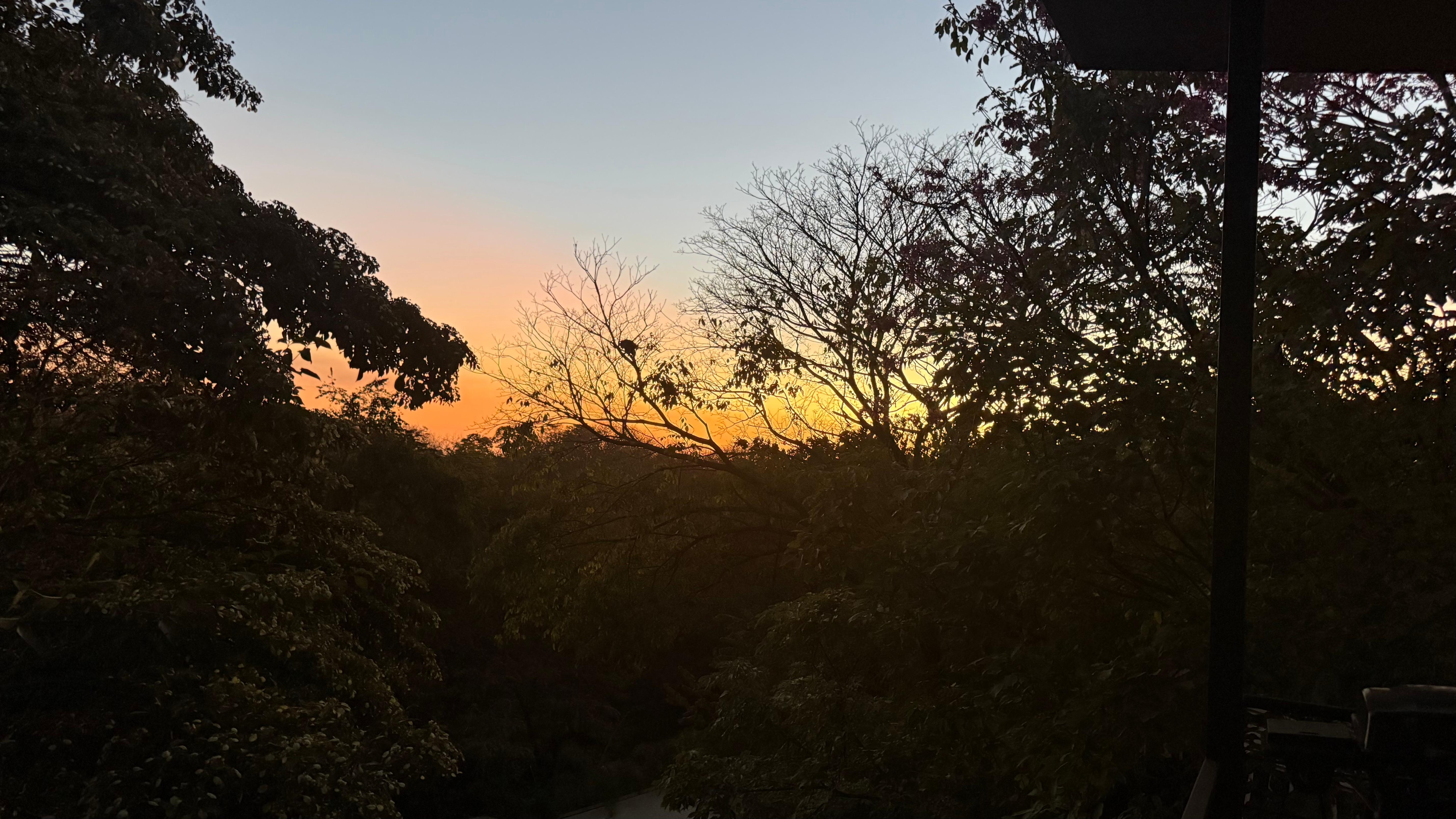 Sunrise with the hummingbirds