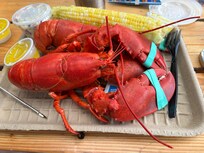 Twin Lobsters at Five Islands Lobster!
