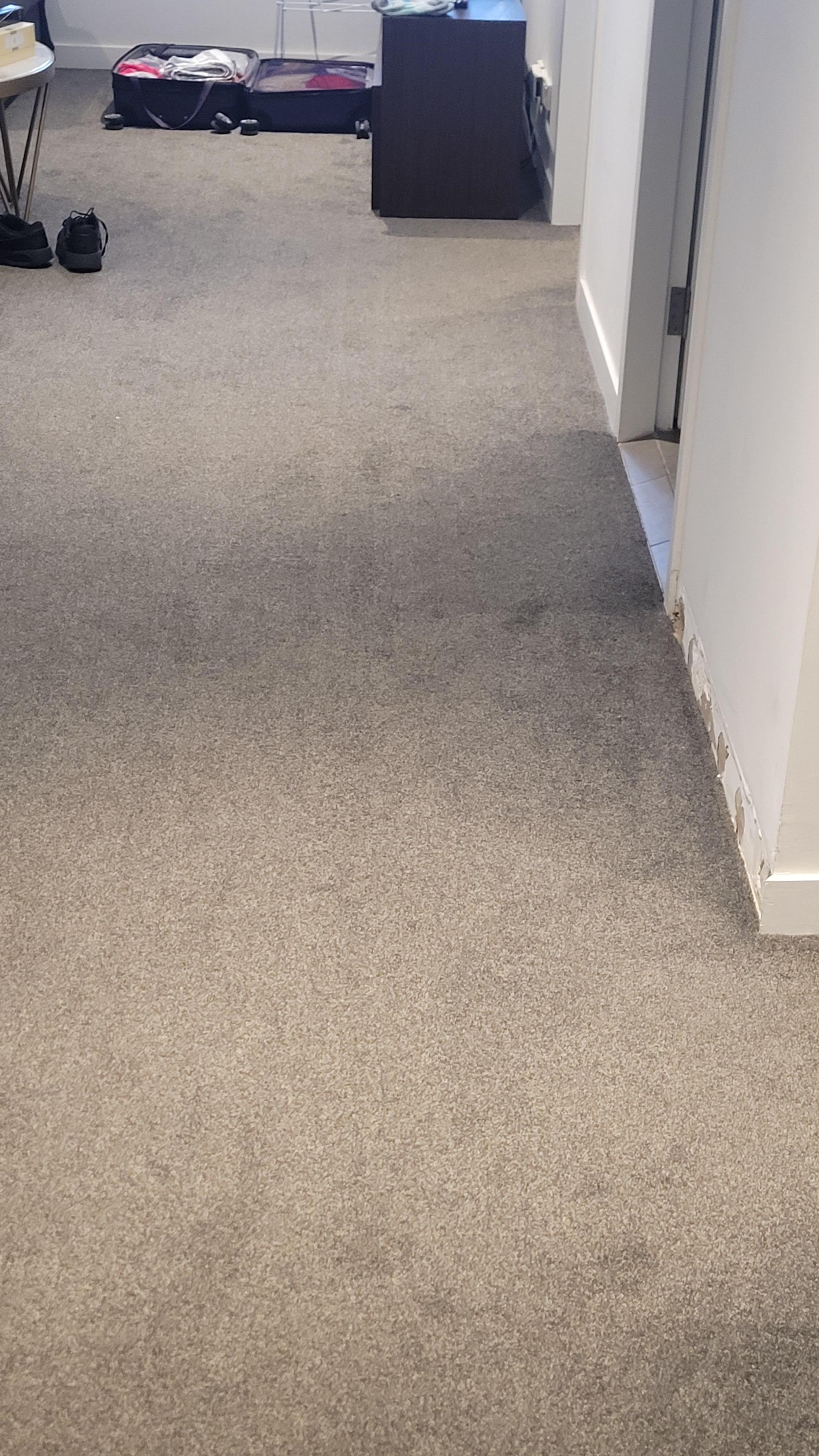 Soaking wet floor in the living room