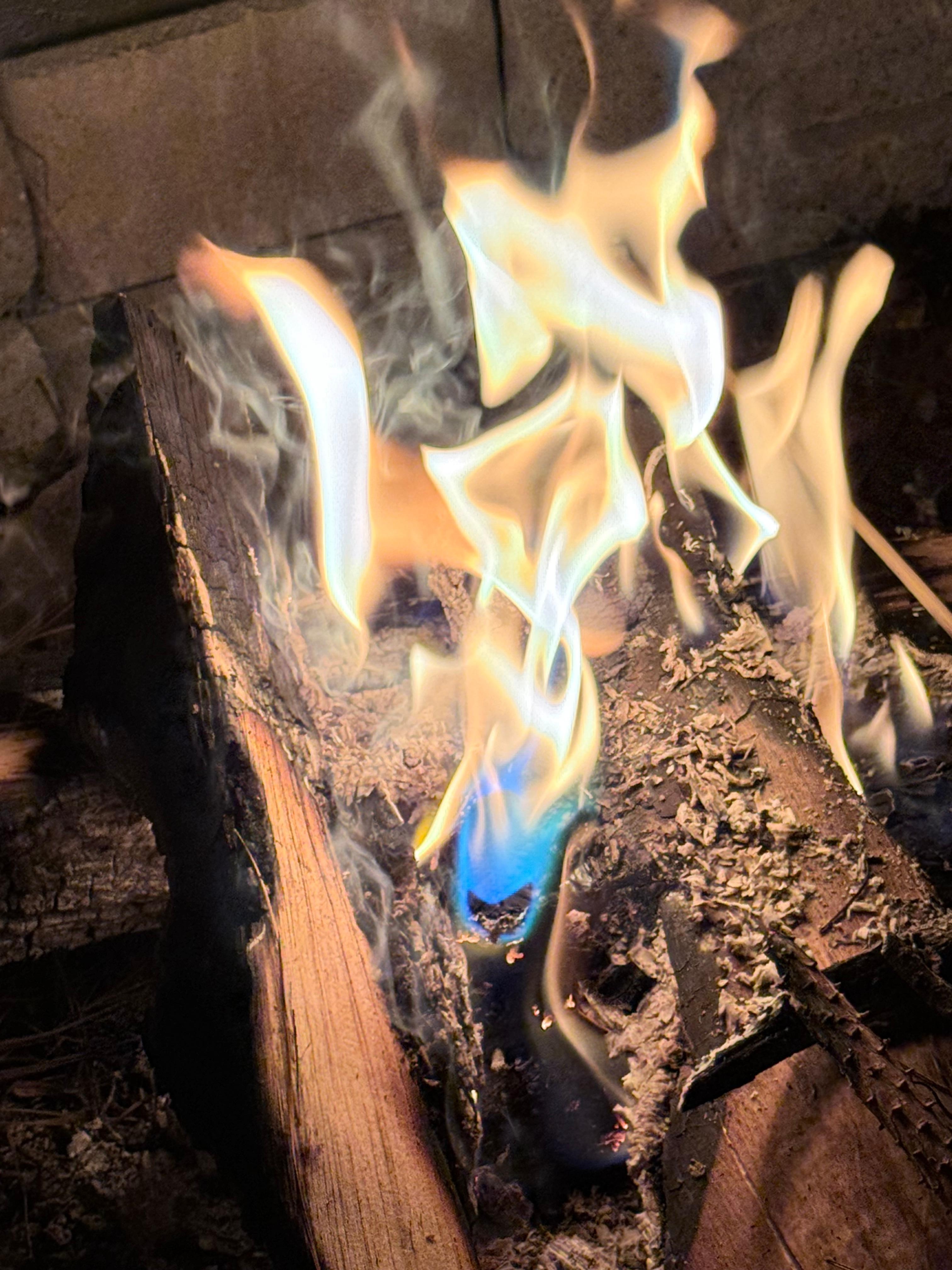 Fun bonfire on our last night with smores! 