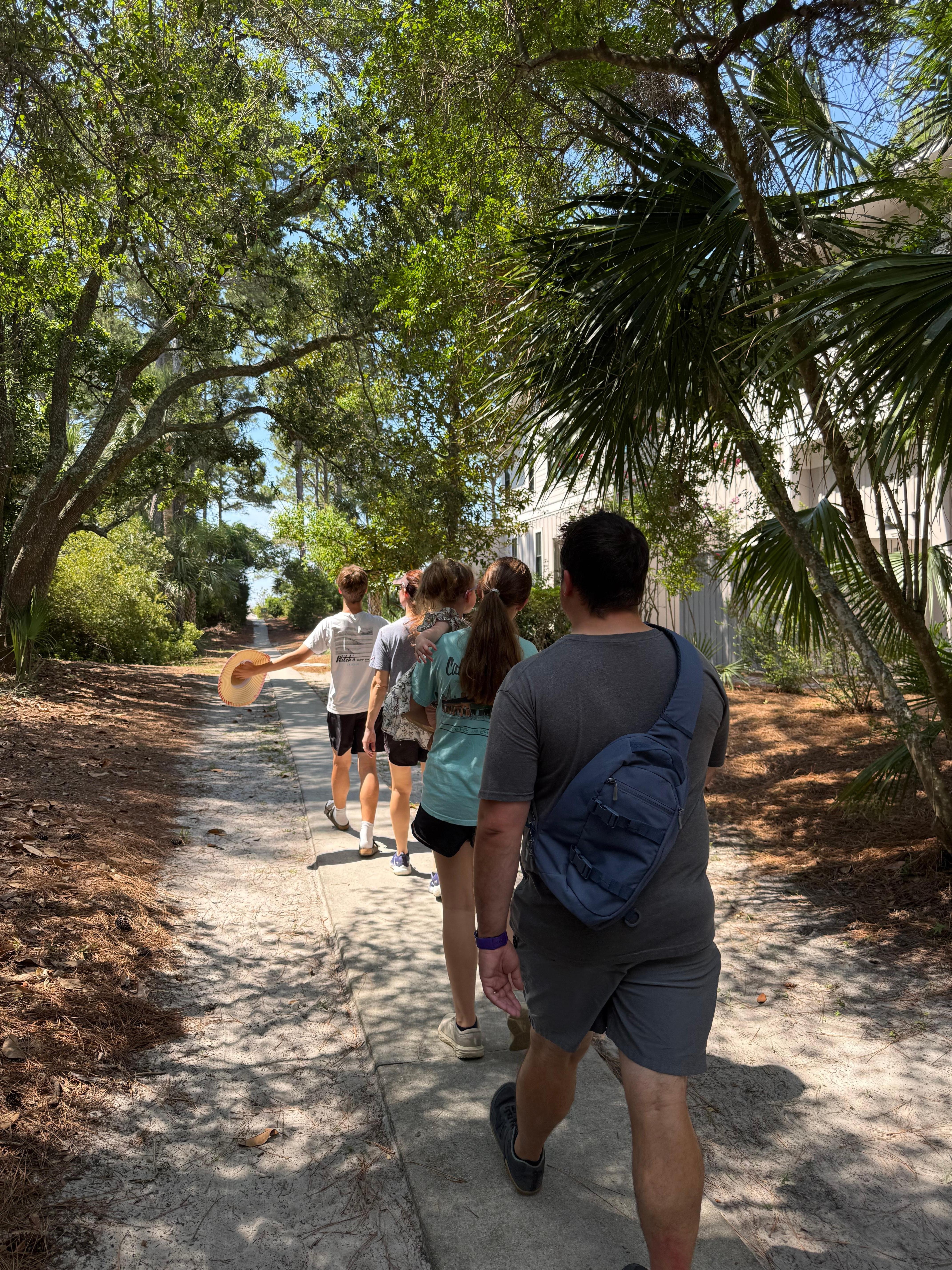 What a beautiful walk to the beach!