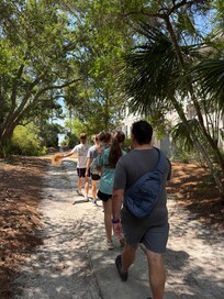 What a beautiful walk to the beach!