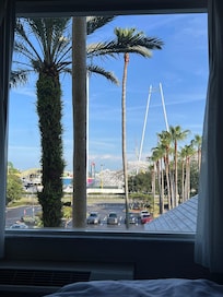 Looking outside my room at oldtown