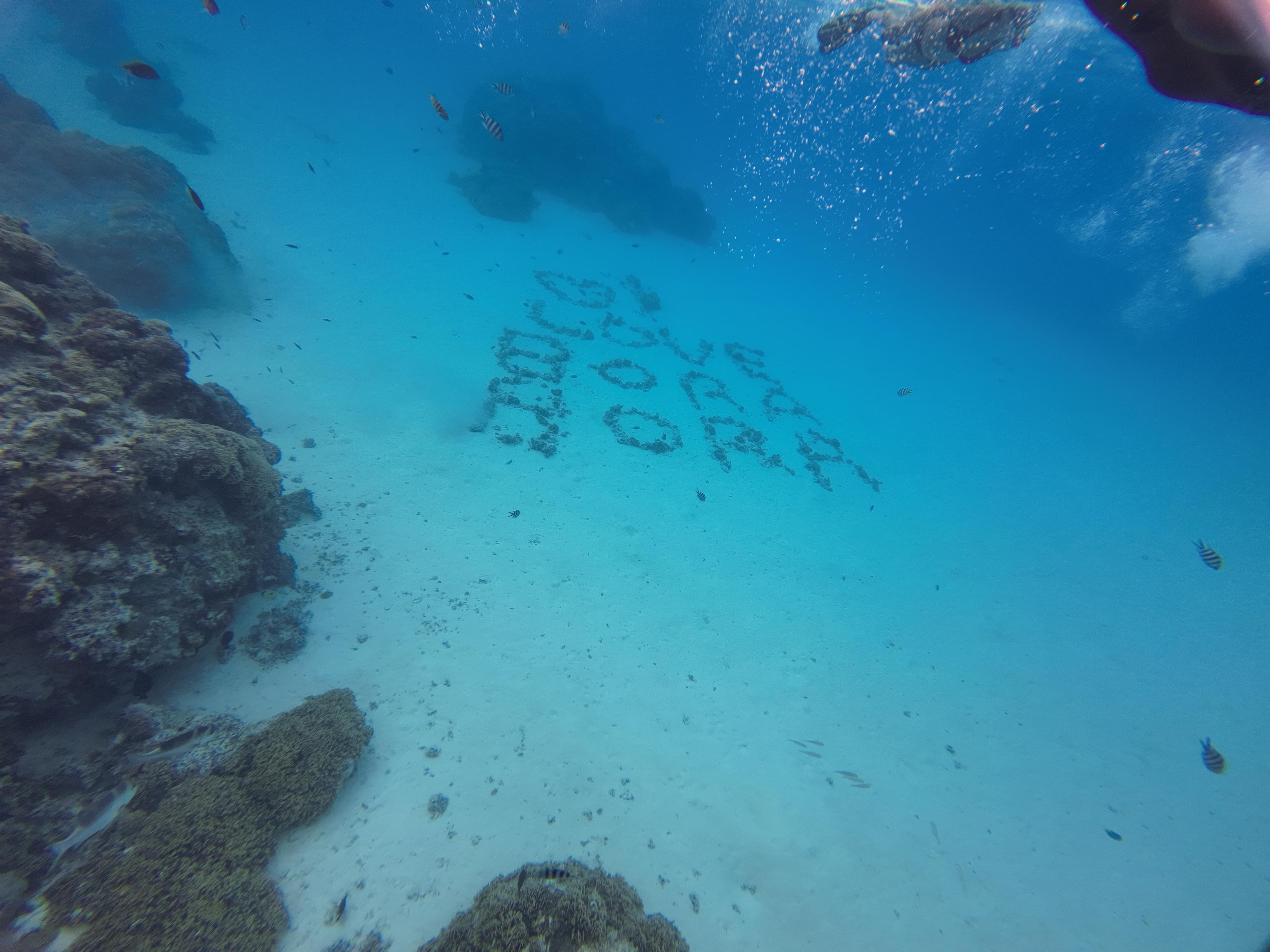 Beautiful place for diving.