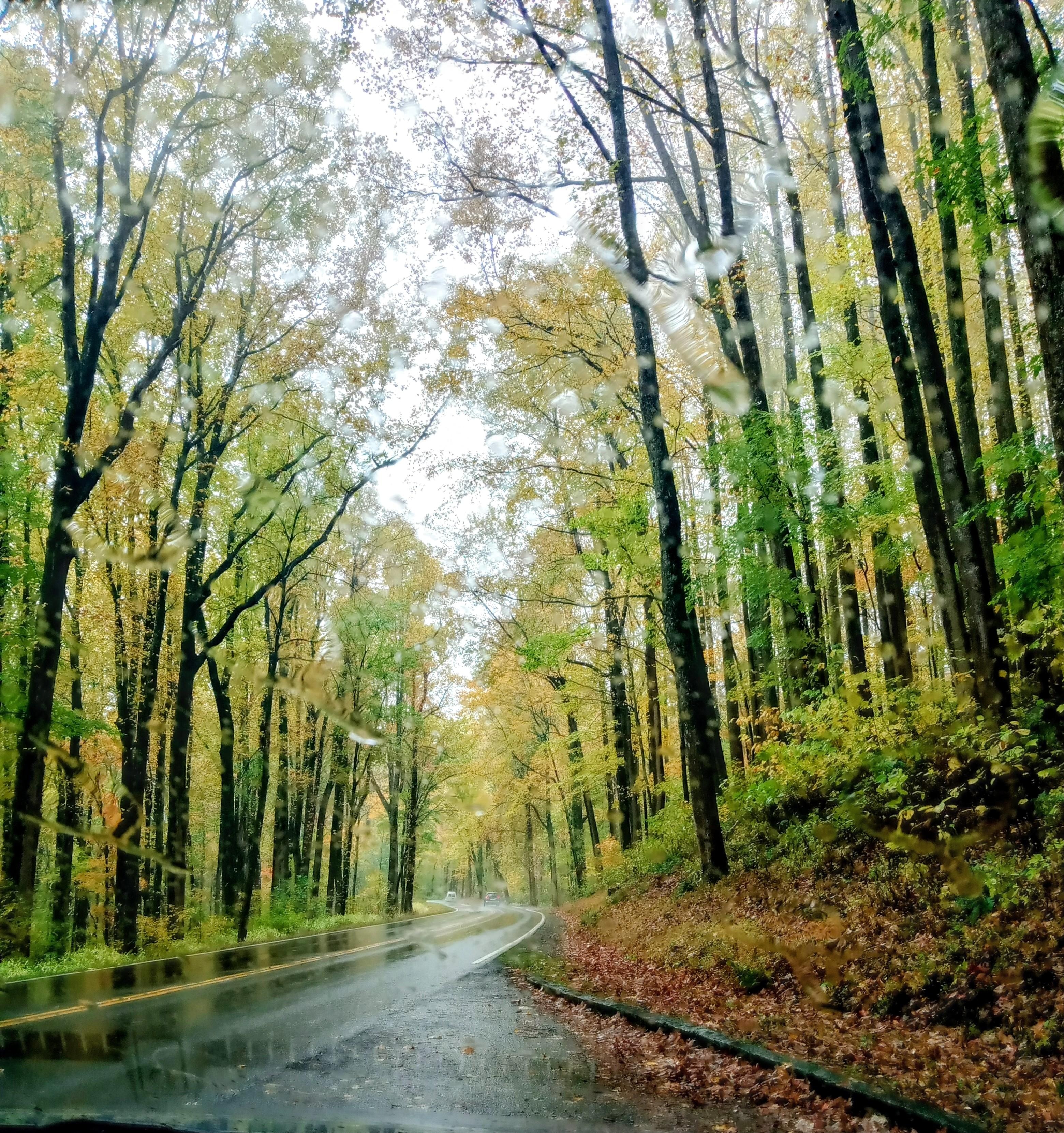 Fall time is my favorite 