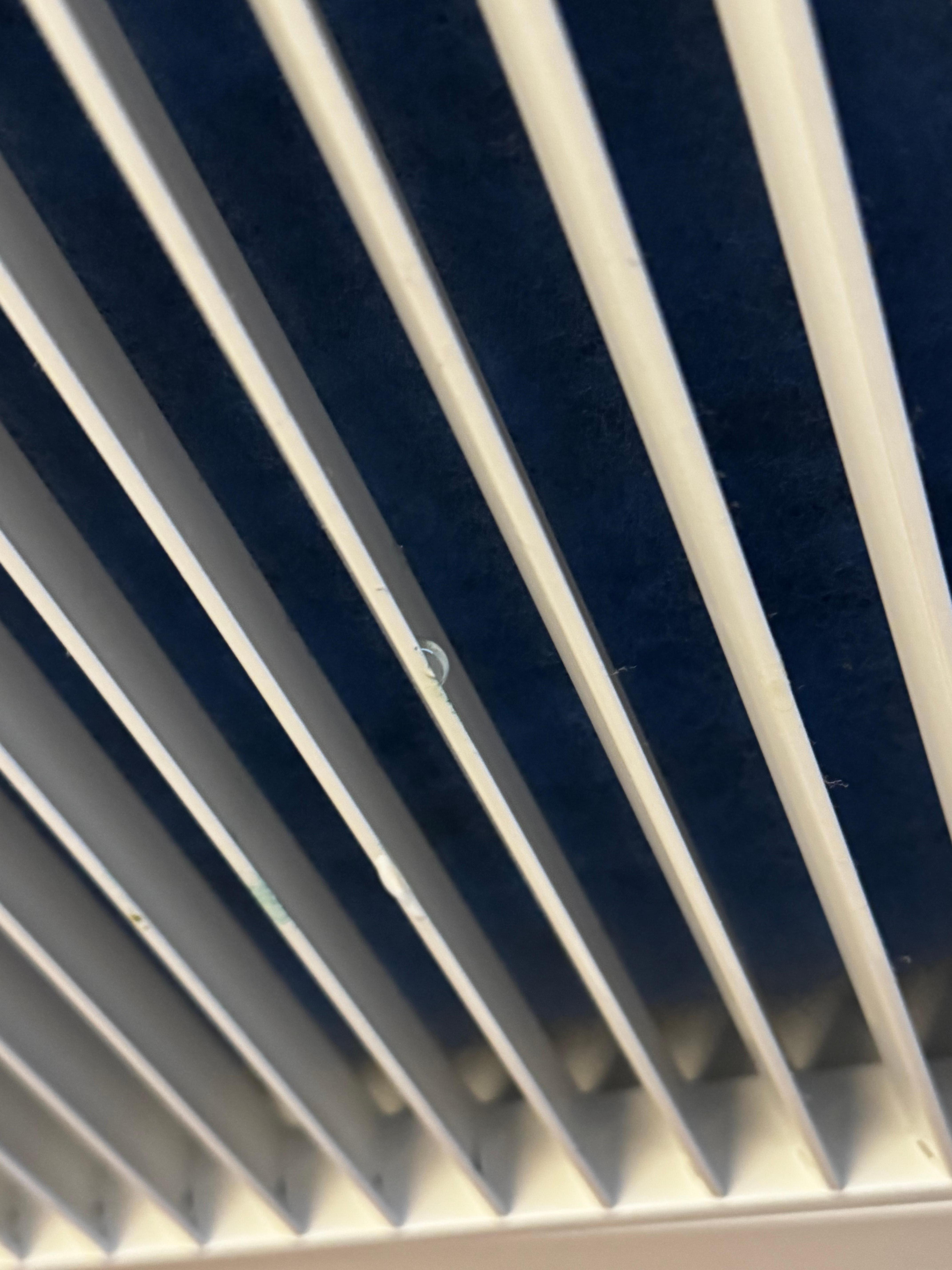 Water dripping from vernt