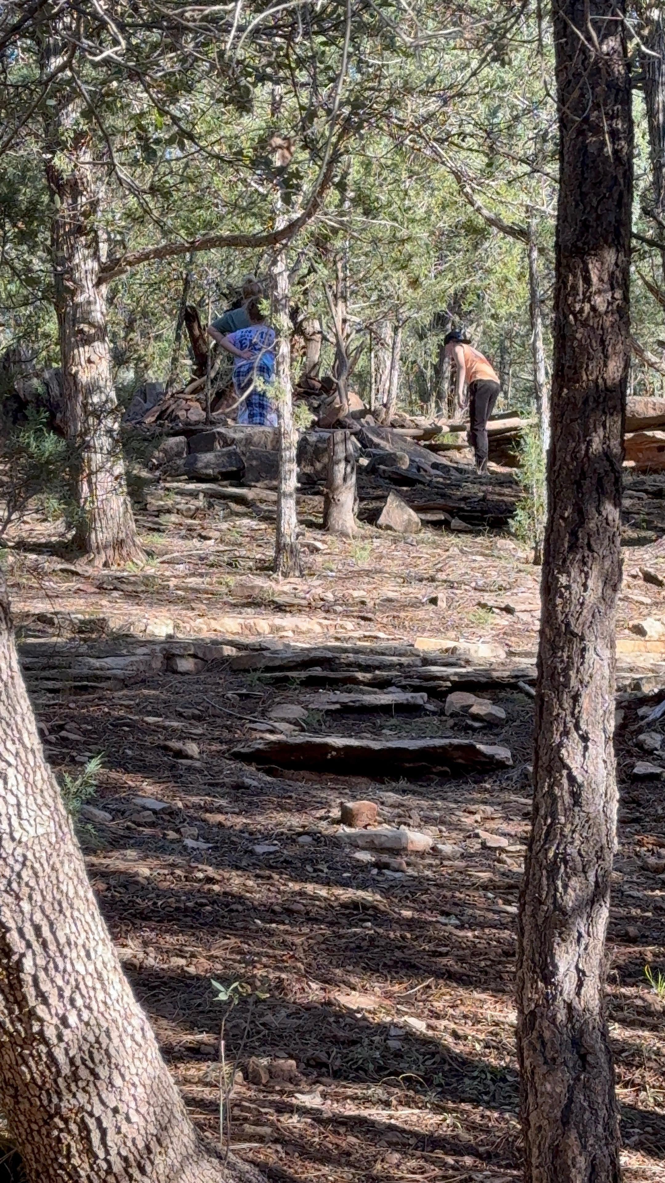My kids found a fort right in the backyard to play in. 