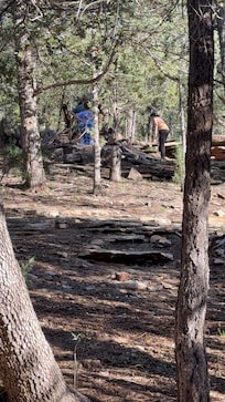 My kids found a fort right in the backyard to play in.