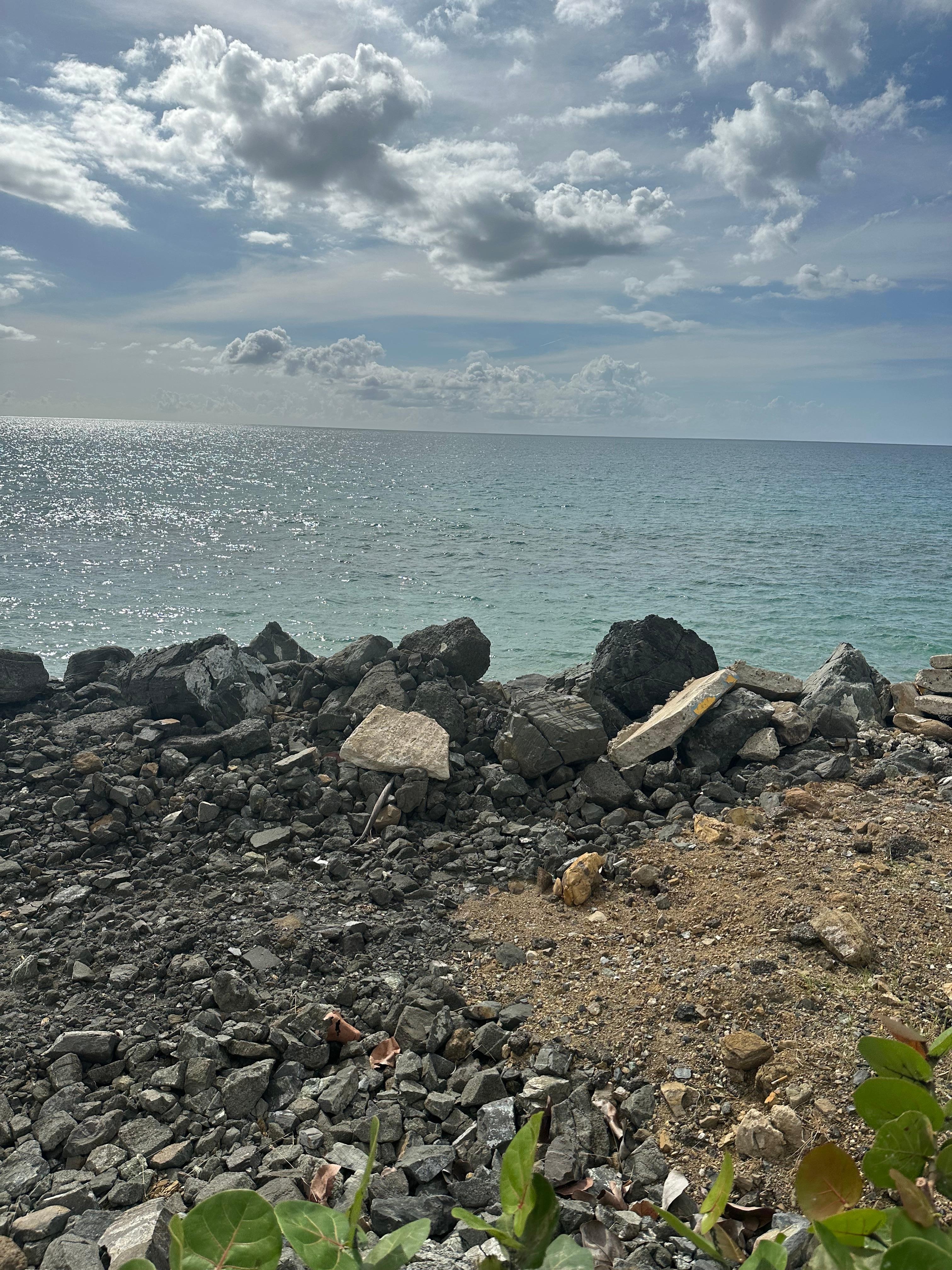 Our patio morning view for a few days
