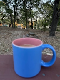 View of the back yard