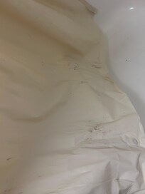Moldy shower curtain