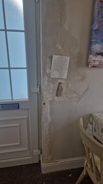 Really large area of damp in kitchen, crumbling off the wall
