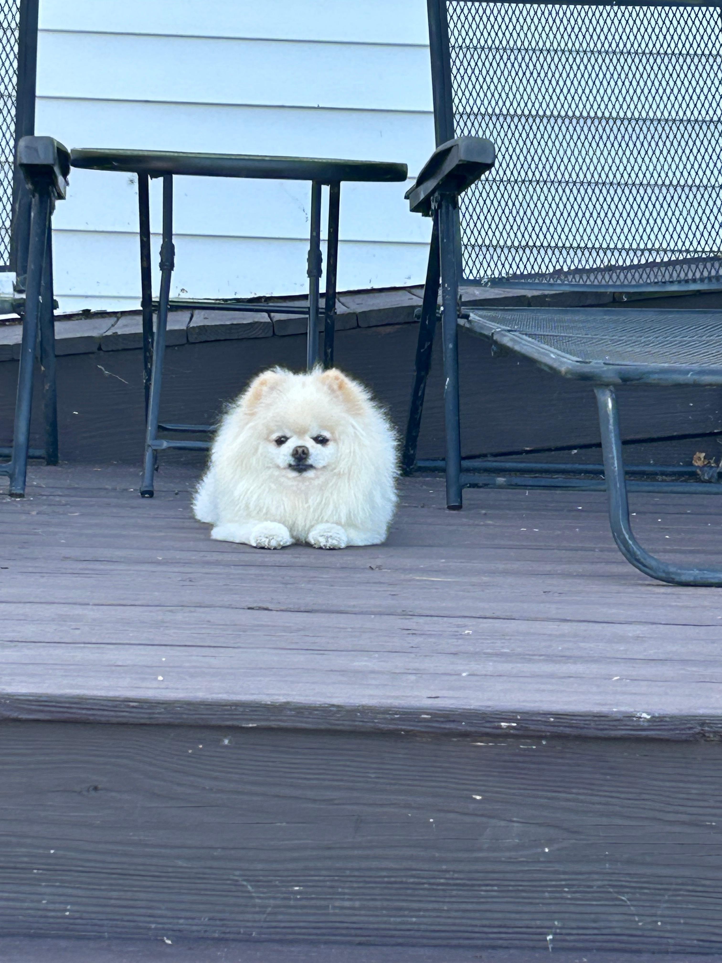 Enjoying the view and coooool weather