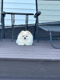 Enjoying the view and coooool weather