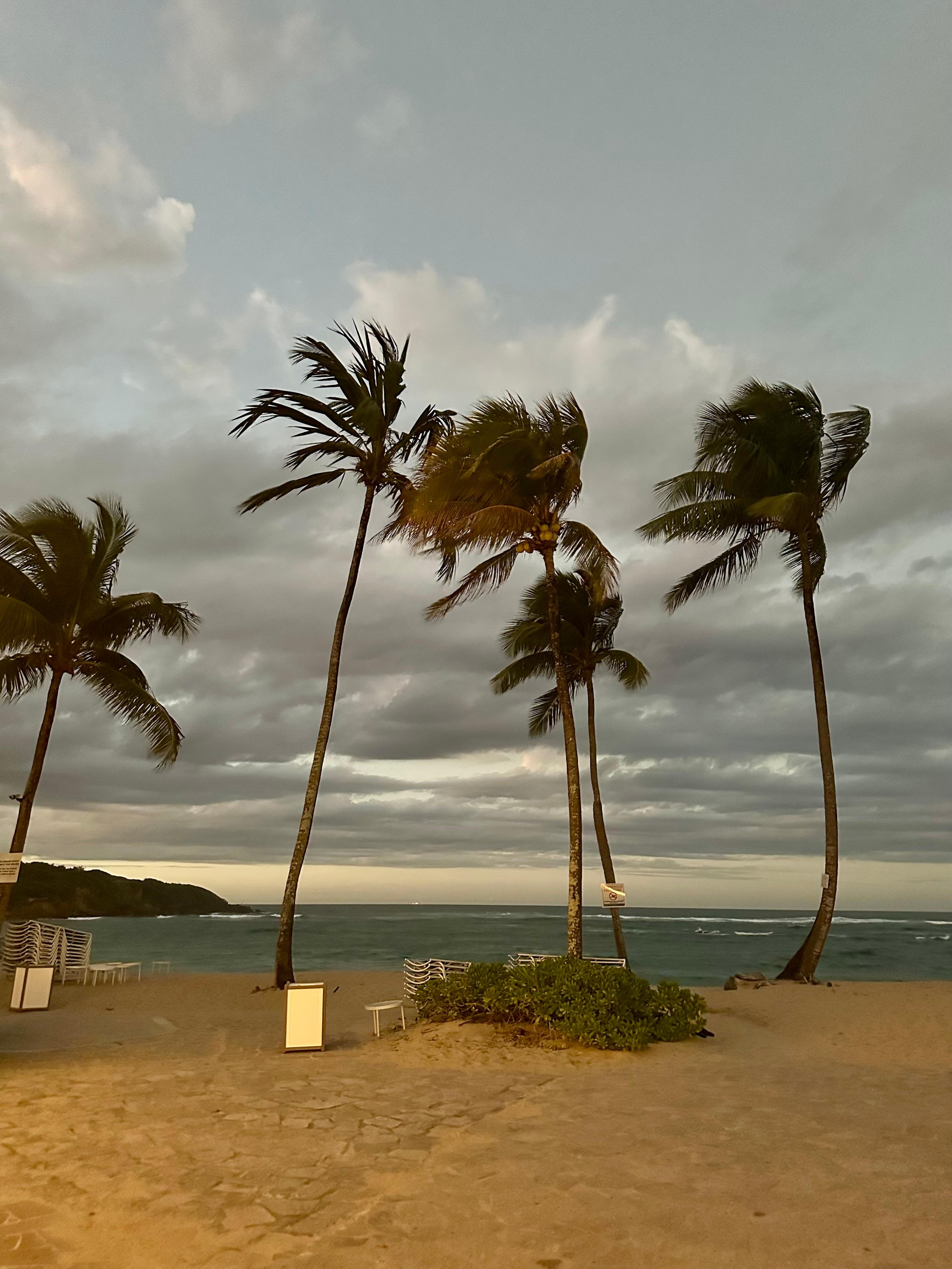 The beach is right there