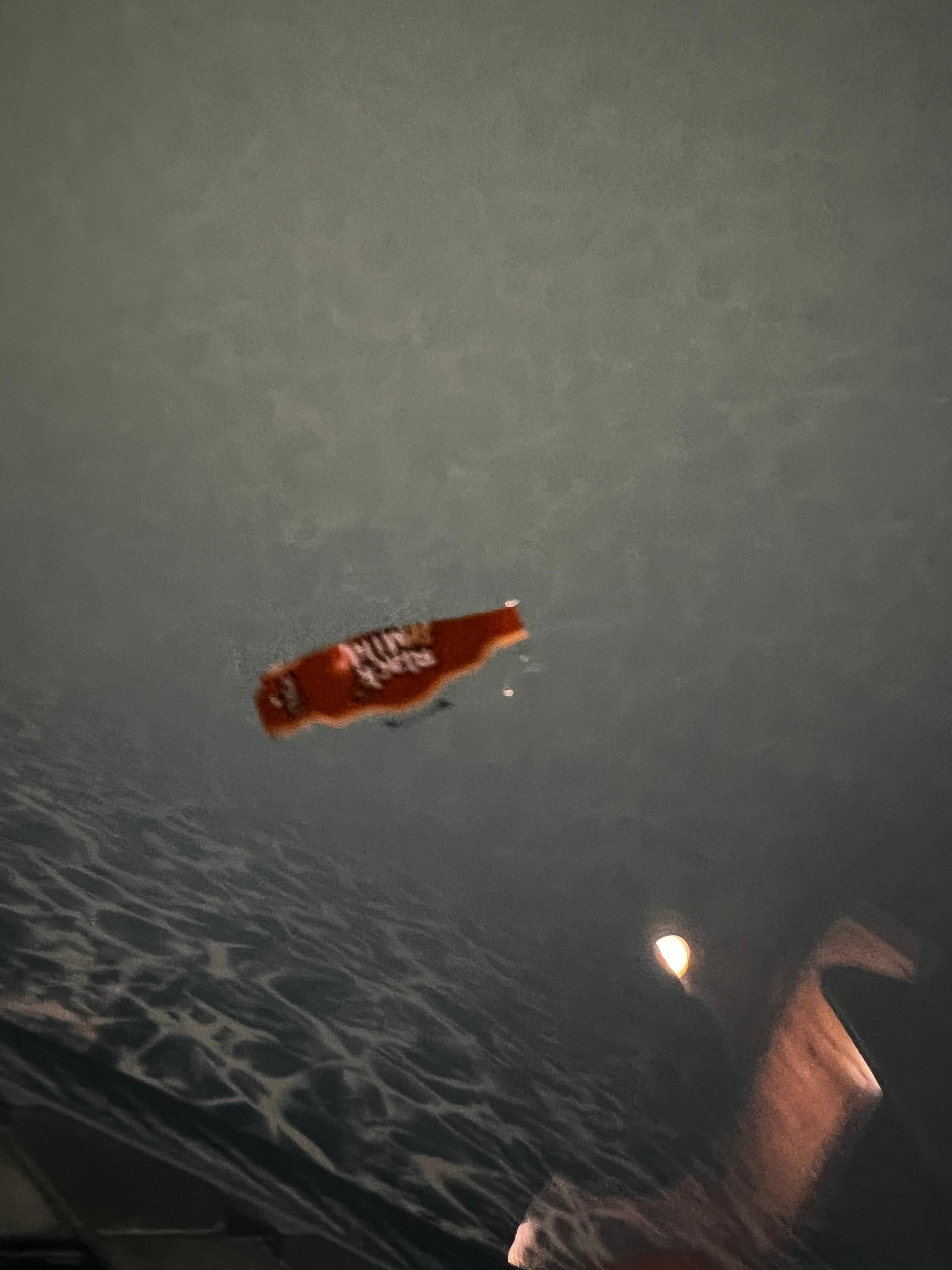 More trash floating in pool