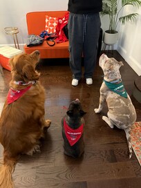 Getting treats for being good babies.