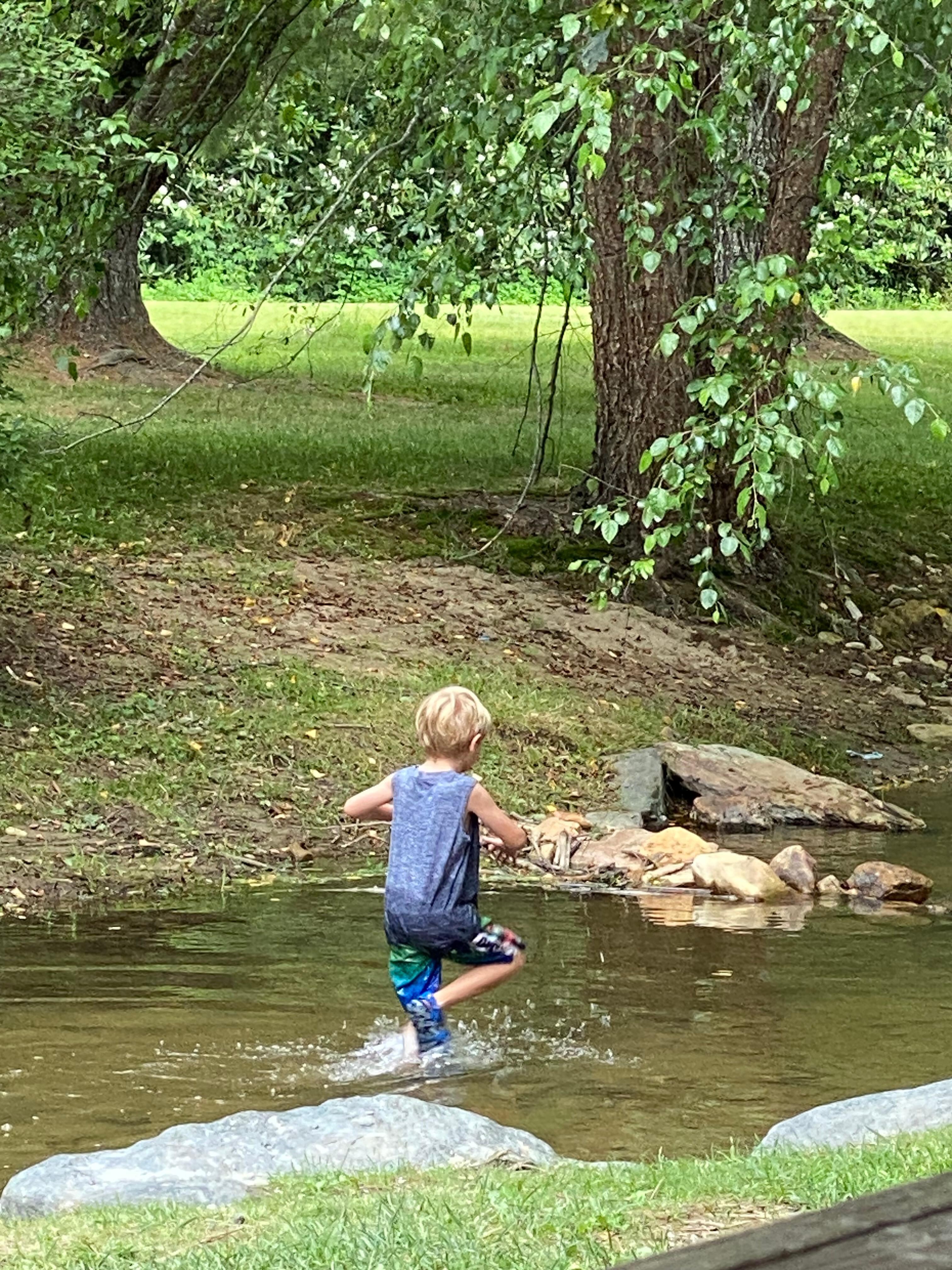 Newly opened park in Banner Elk