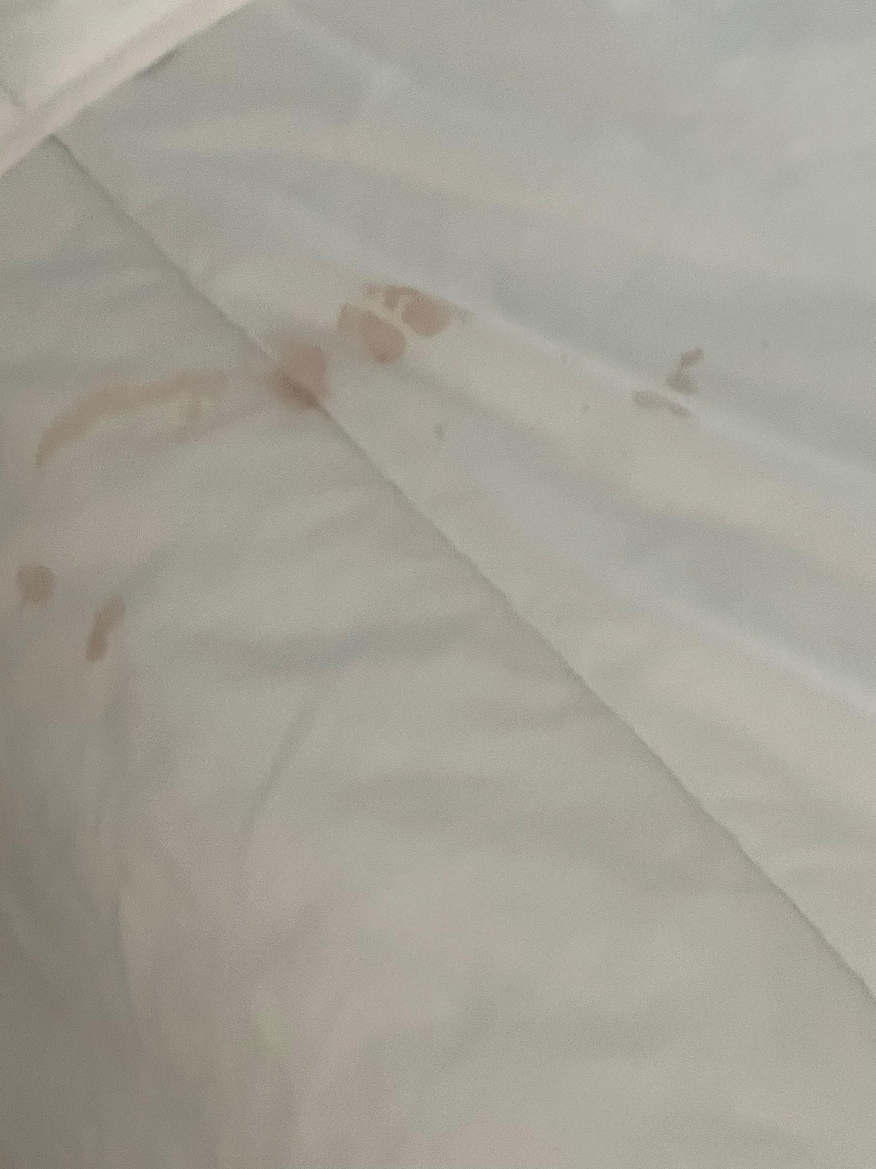 stains on the blanket and bed looks like blood 