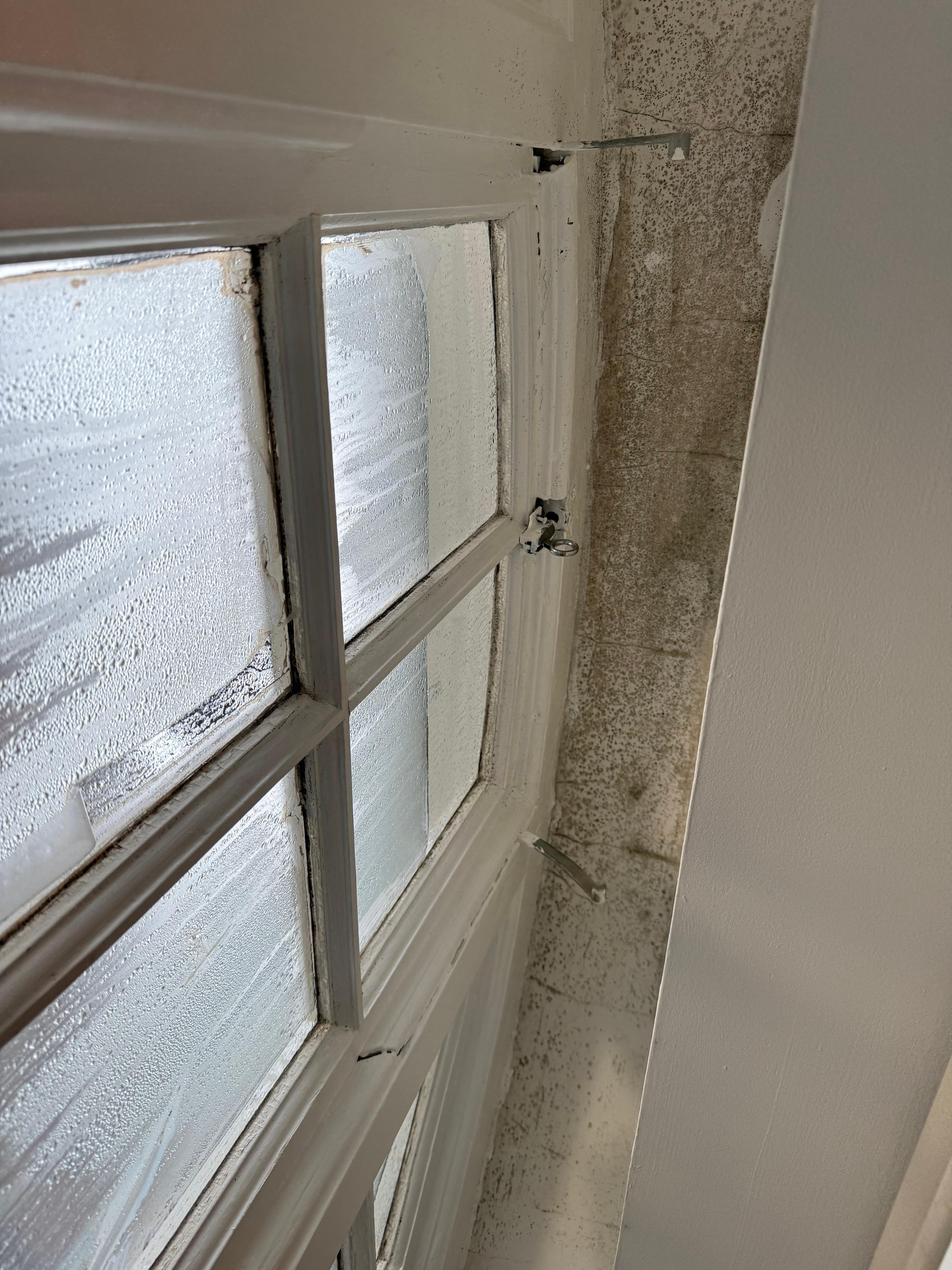 Ceiling above windows 