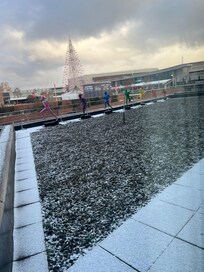 View from the room over Liverpool One