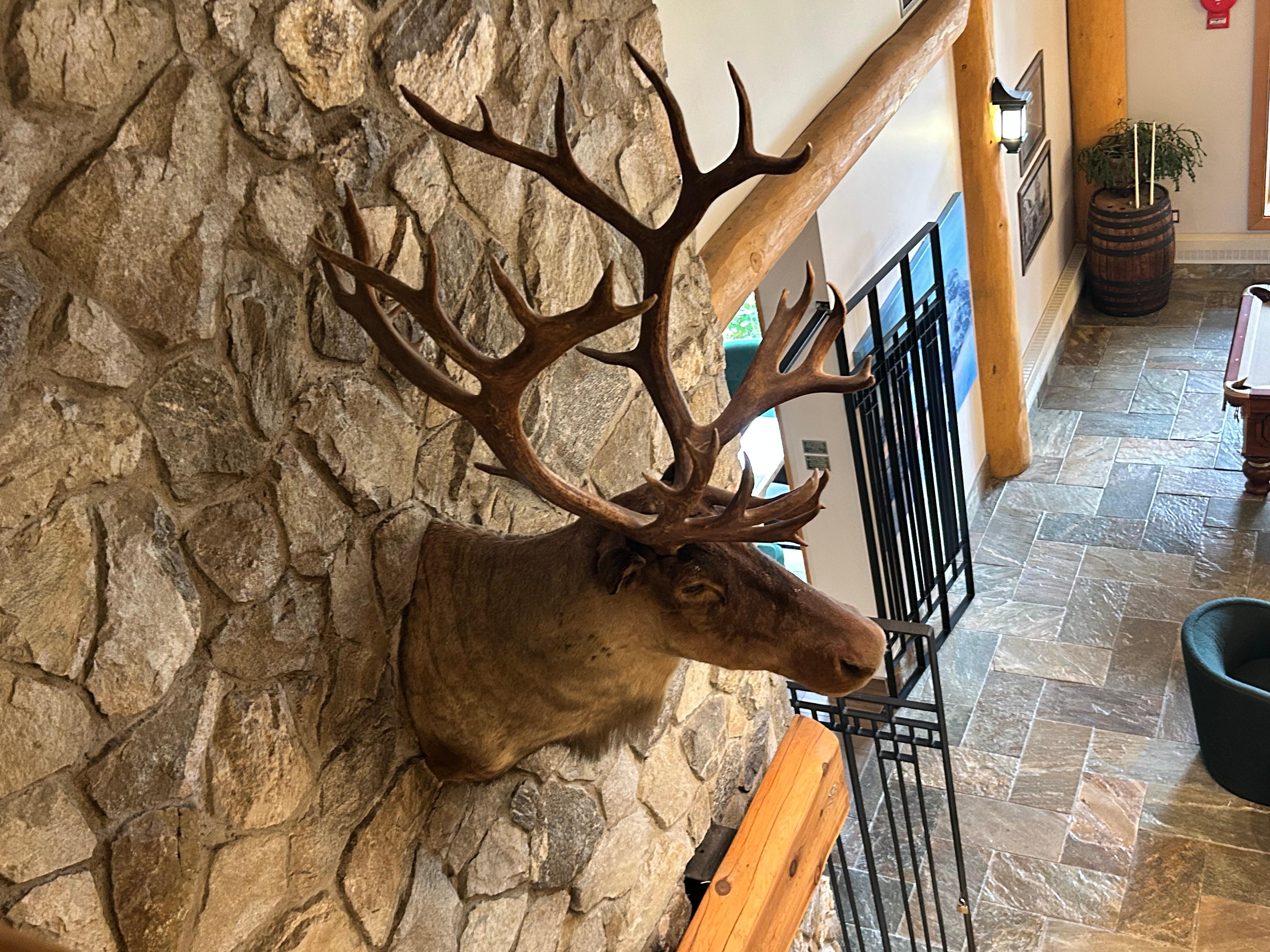 2nd floor view of closed restaurant 