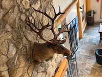 2nd floor view of closed restaurant