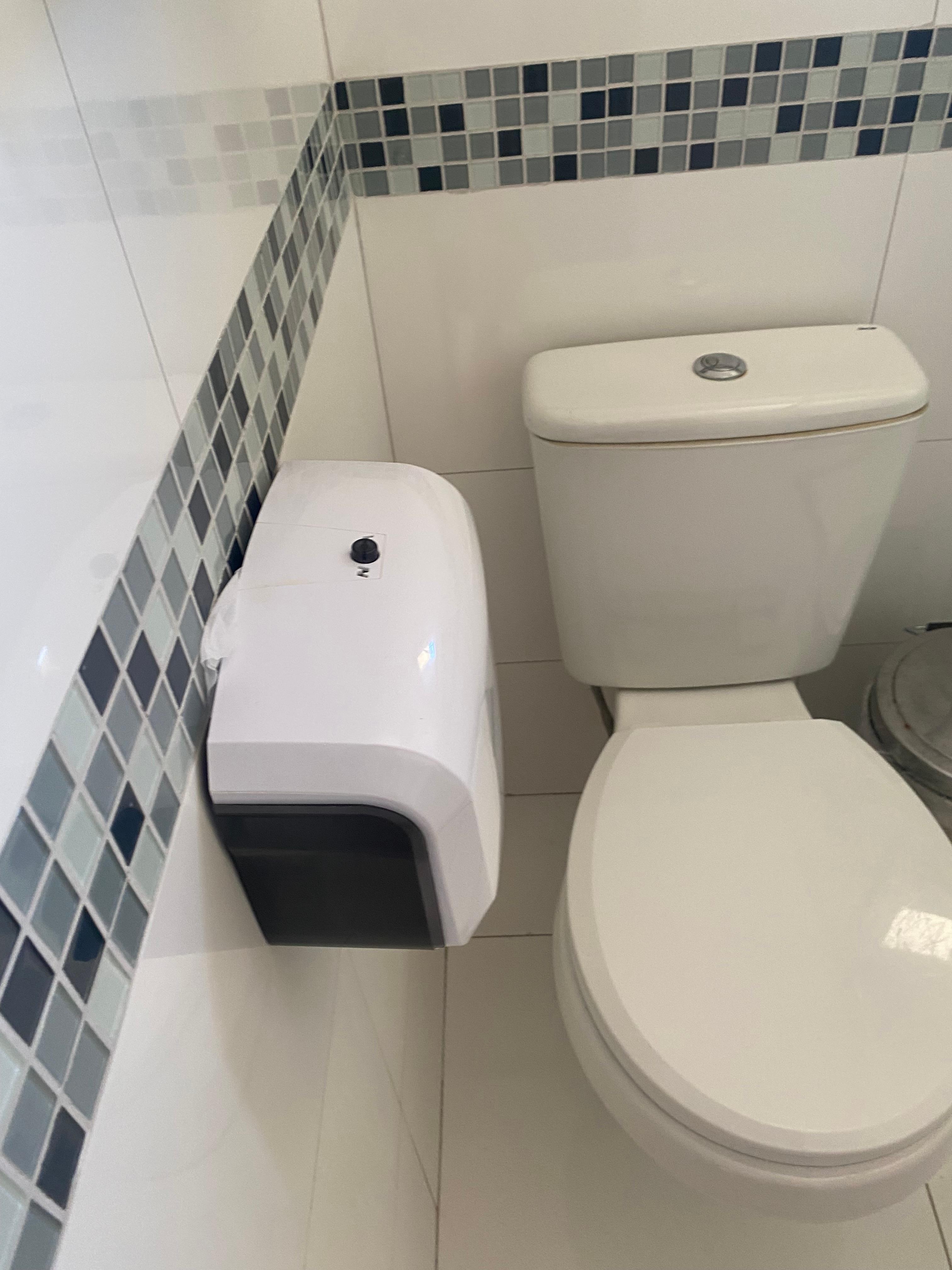 Papeleira fixada em local que incomoda muito usar o vaso