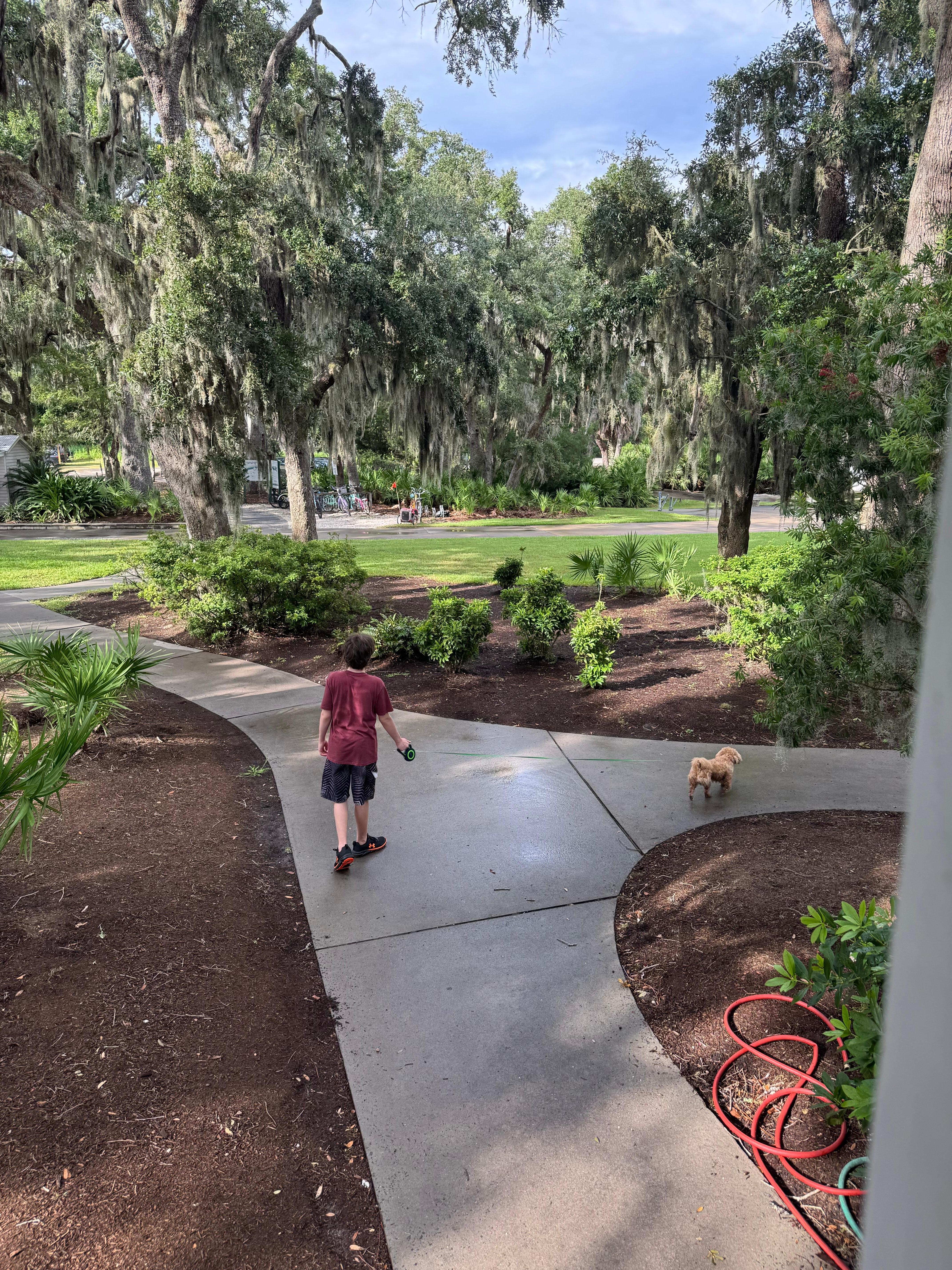 Beautiful grounds for dog walking at the Moorings