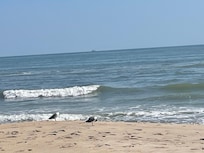 The beach