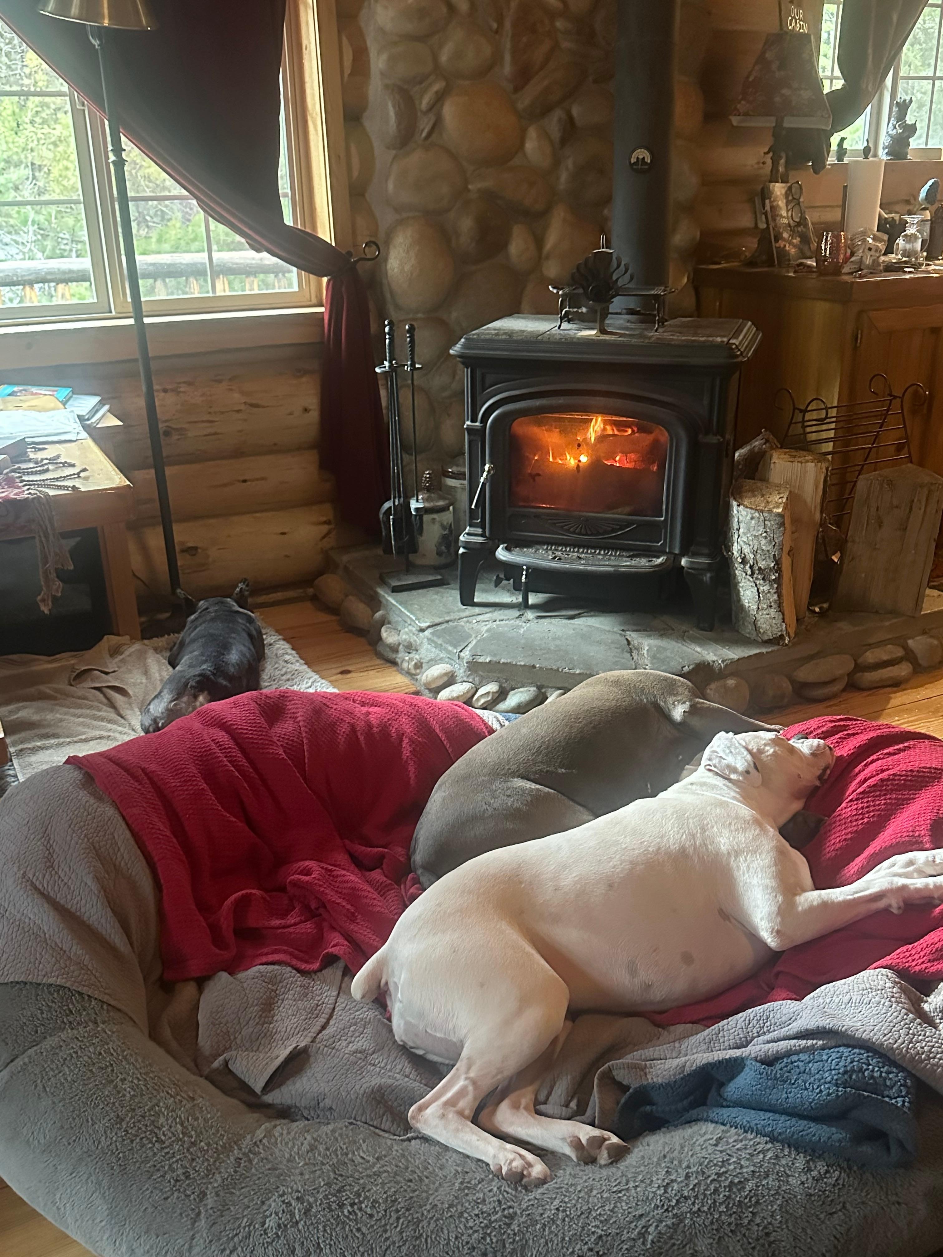 The girls enjoying the Woodstove.