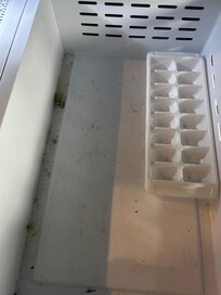 Inside of kitchen freezer. Gagging.