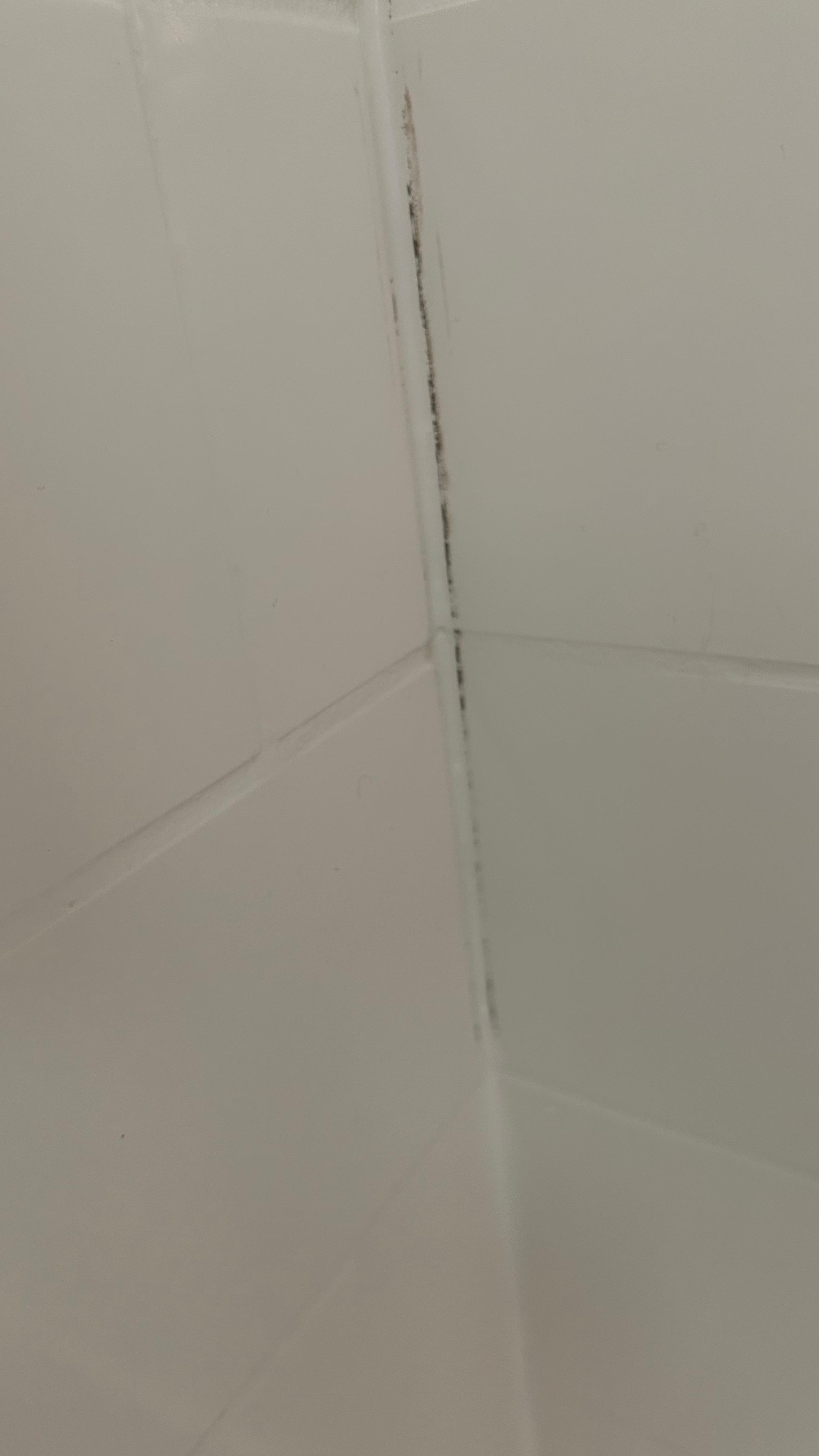 Mold