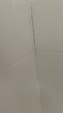 Mold