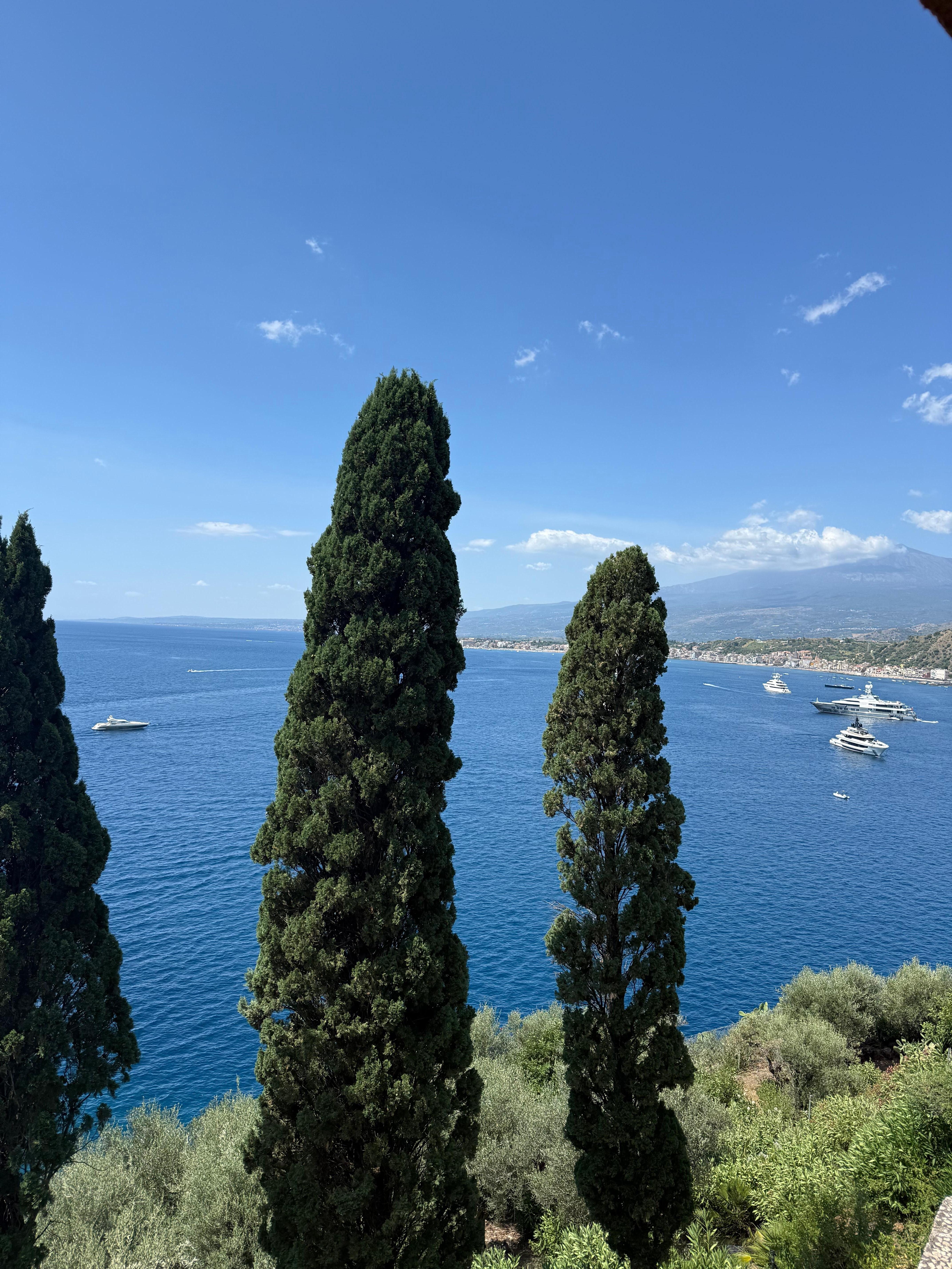 Room with a view 