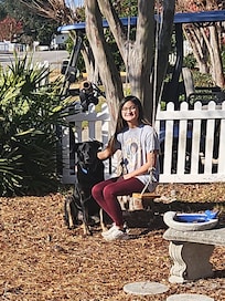 Our daughters love the tree swing!