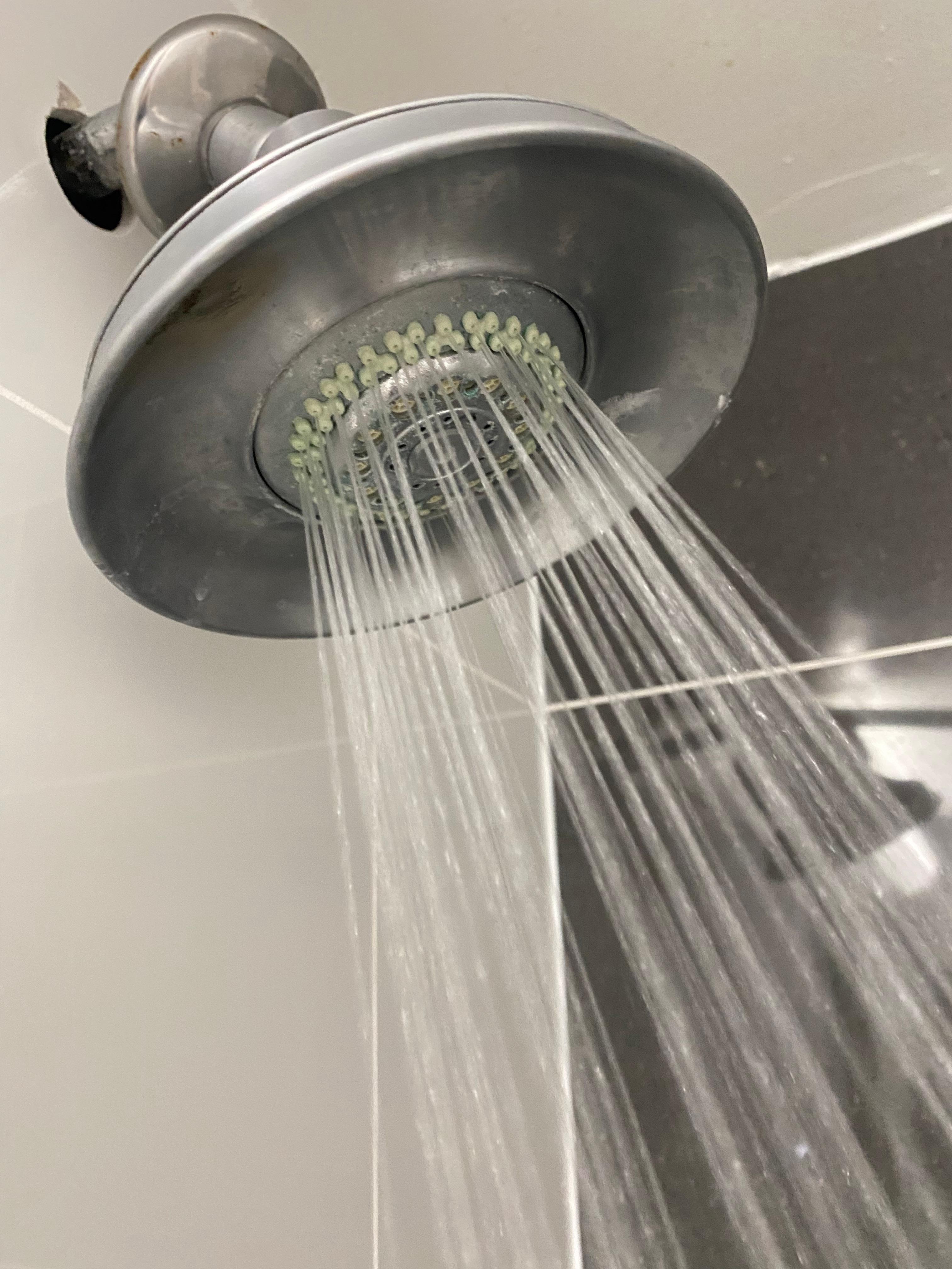 dirty shower head 